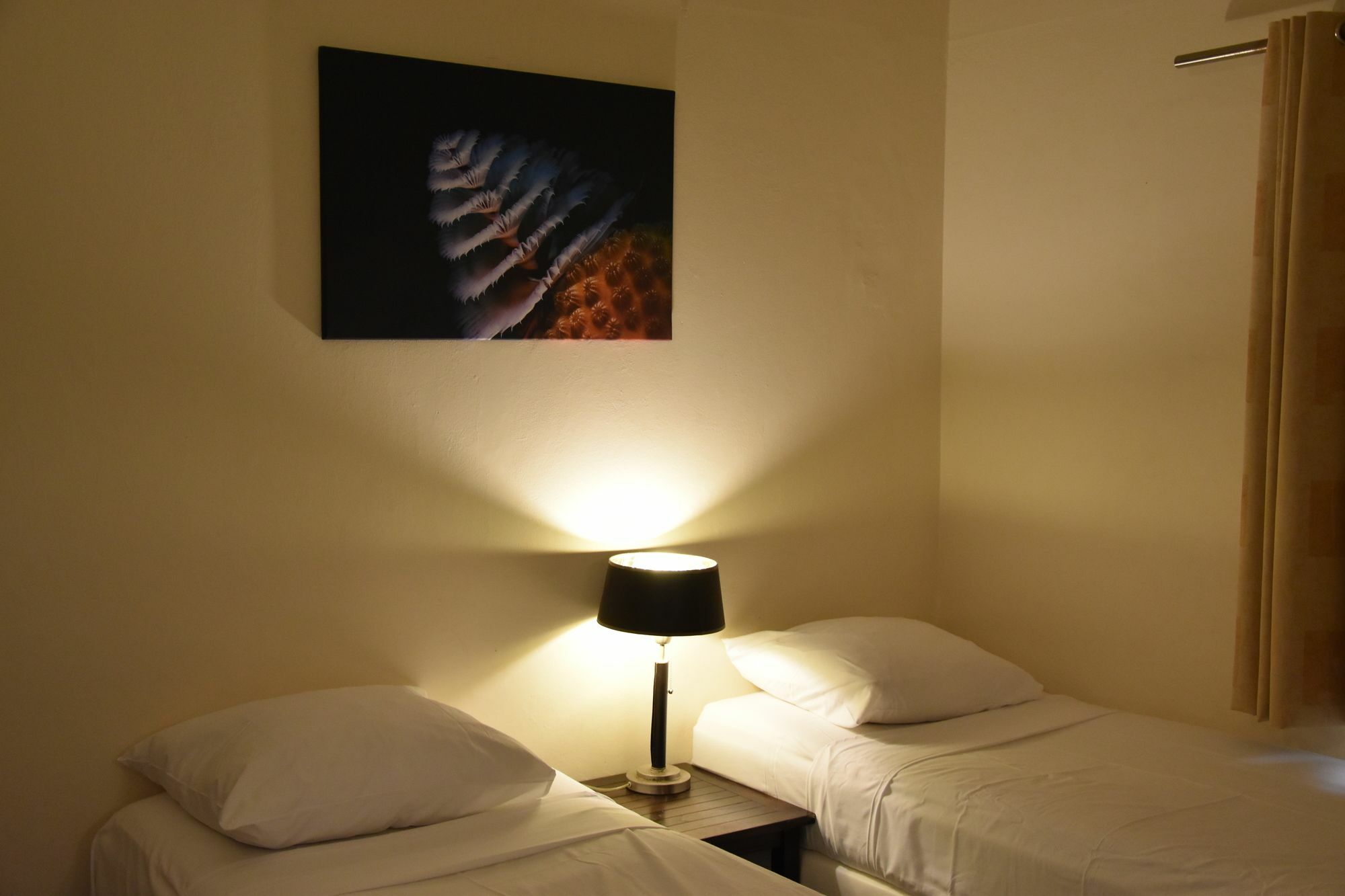 Caribbean Club Bonaire Aparthotel Ngoại thất bức ảnh